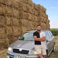 alexandruioan31