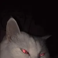 Полина Кропива