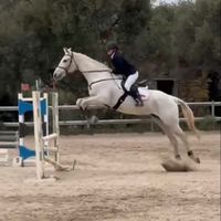 aniamad08