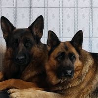 lukyzara4