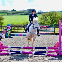 jessieboo.equine
