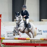 ponnishowjumping