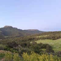 wasimafghan36