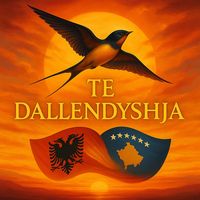 tedallendyshja