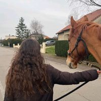 ambre_216