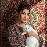 melis_mdi