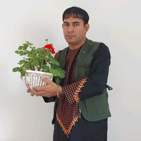 azizafghan786