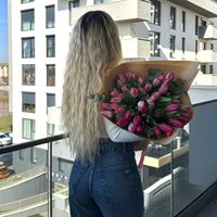 alexaseutiut