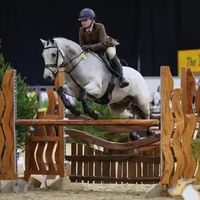 the_feral_equestrian