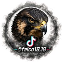 falco18.18