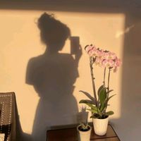 cozywitchchronicle