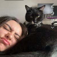 iminadancebattlewithacat