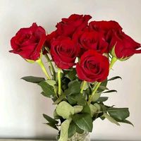 dicle__62