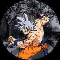 t0a_shishi