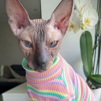 moonycat_23