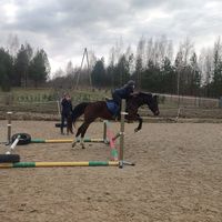 horse_girl59