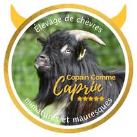 copain_comme_caprin