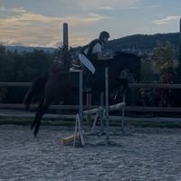 emma_equi74