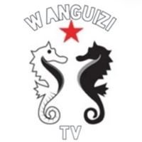 wanguizitv