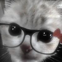 bloomy608151