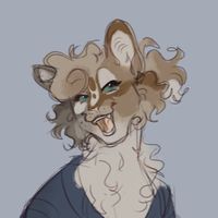 stalkingwind