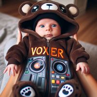 PovahaJvrVox