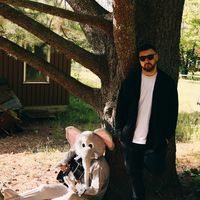 jamesjvirallinen