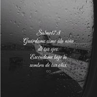 estelita._5