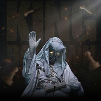 vinmviral