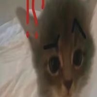 original sound