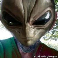 ovidiu.gheorghes7