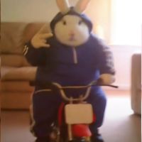 spoconejajka69