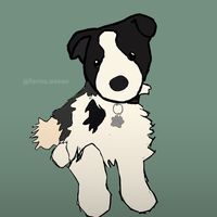 cutesy_essa