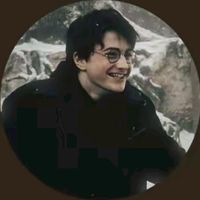 harrypotterfannnn