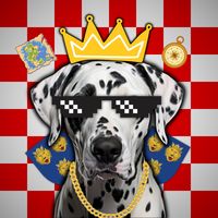 dalmatian.mapper
