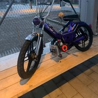 puch_tom