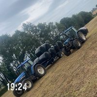 stephenmorrin2