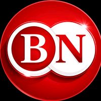 bazil.nicobin