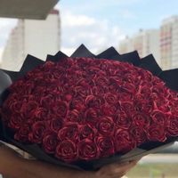 luxury_rose