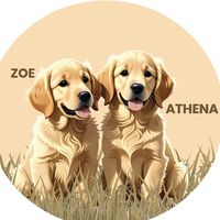 zoe_thegoldenita