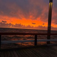 nedax_