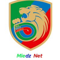 miedznet1971