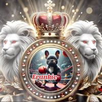 frankyboy477