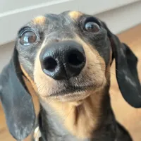 heather by conan gray