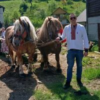 mihnea.bogdan
