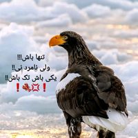 wasim.akbari7
