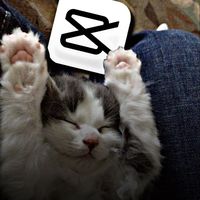 fan_edixt