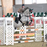 laura.equestrian227