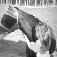 teampetterssonnn