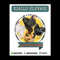 original sound - dialloelevage